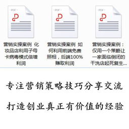 整合營銷策略 從策劃到執(zhí)行的實(shí)戰(zhàn)路徑與案例解析